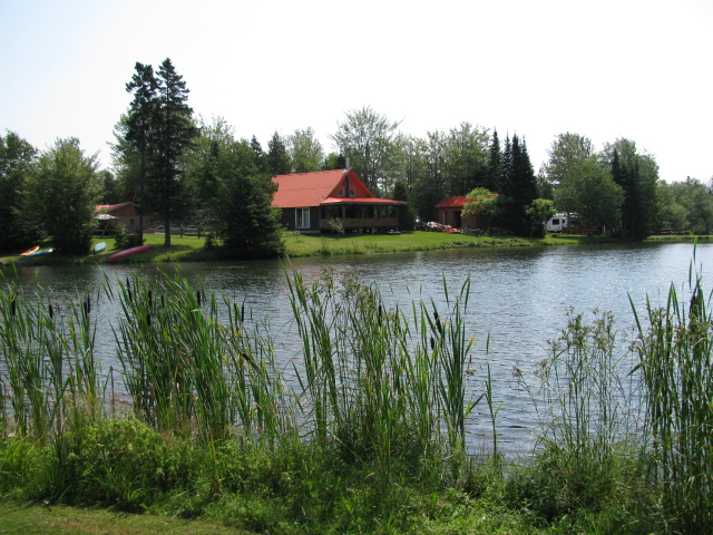 The Pond 